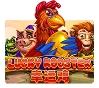 DEMO LUCKY ROOSTER