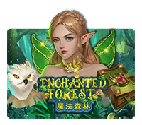 DEMO ENCHANTED FOREST