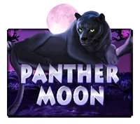 DEMO PANTHER MOON