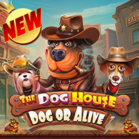 DEMO The Dog House – Dog or Alive