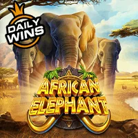 DEMO African Elephant